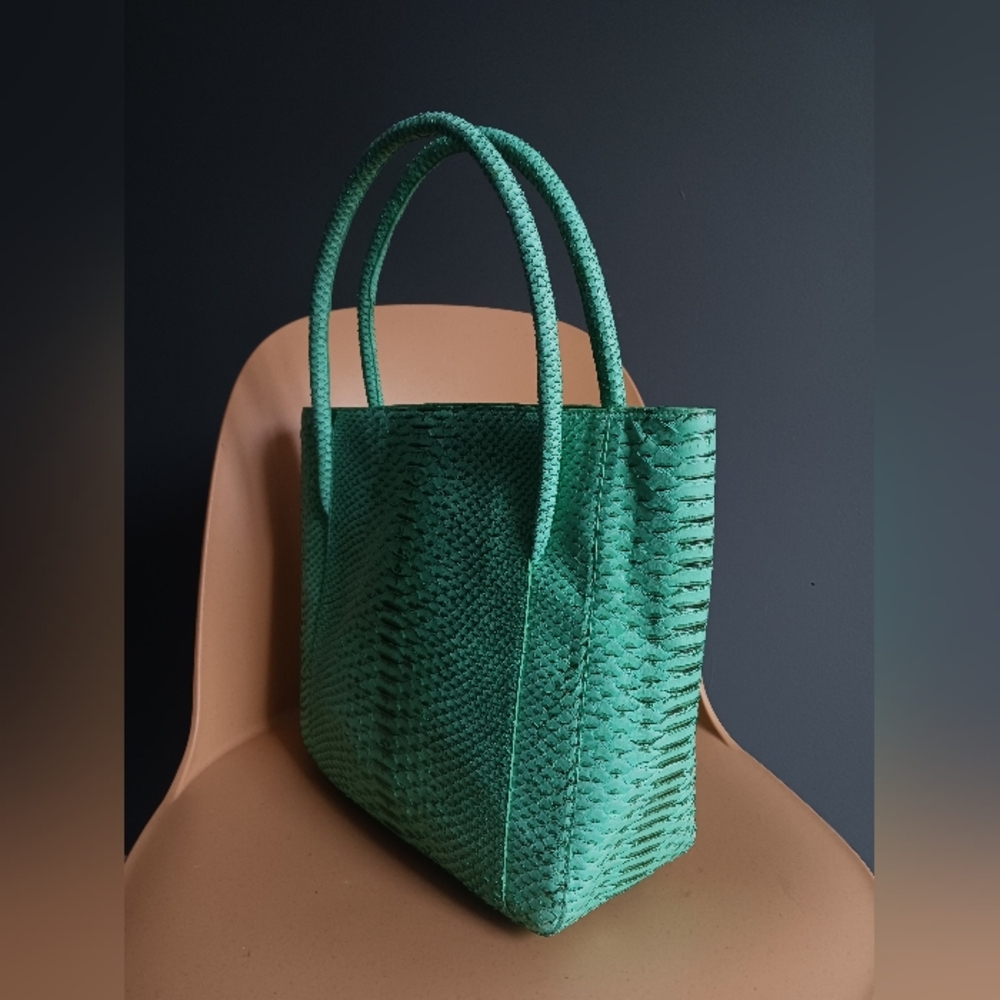 NWT Nancy Gonzalez Genuine Python Bivittatus Shou… - image 9